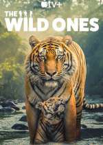 S1 E1 The Wild Ones Season 1 Episode 1