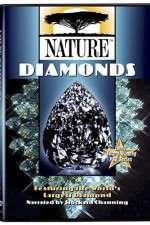 S43 E13 Nature Season 43 Episode 13