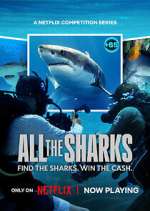 S1 E1 All the Sharks Season 1 Episode 1