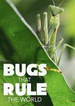 S1 E3 Bugs that Rule the World Season 1 Episode 3