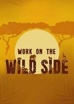 S1 E1 Work on the Wild Side Season 1 Episode 1