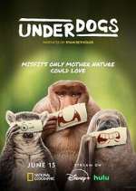 S1 E1 Underdogs Season 1 Episode 1