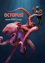 S1 E1 Octopus! Season 1 Episode 1
