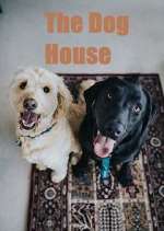 S8 E2 The Dog House Season 8 Episode 2
