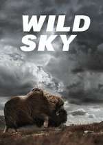 S1 E1 Wild Sky Season 1 Episode 1